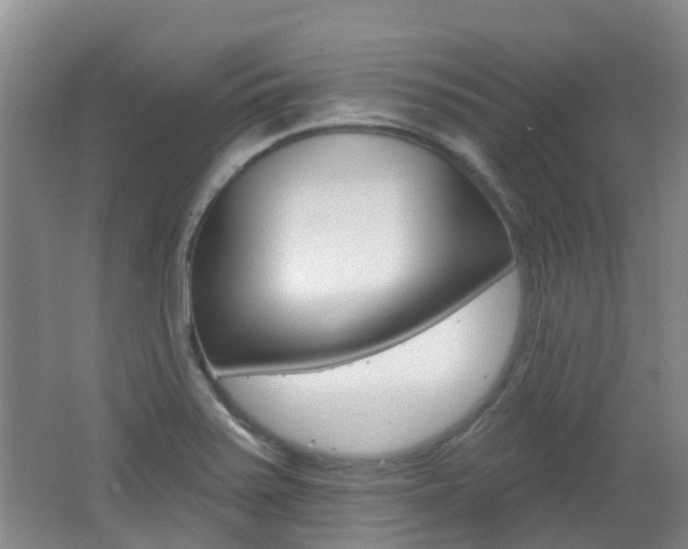 X0000062641371200512210956