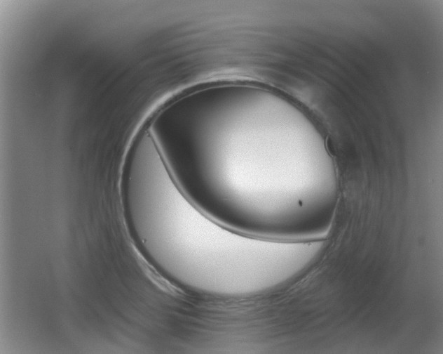 X0000062641372200512210956