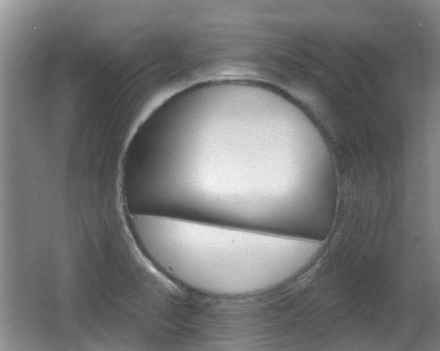 X0000062641374200512210956