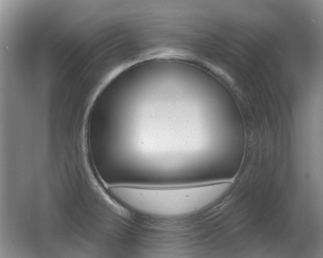X0000062641375200512210956