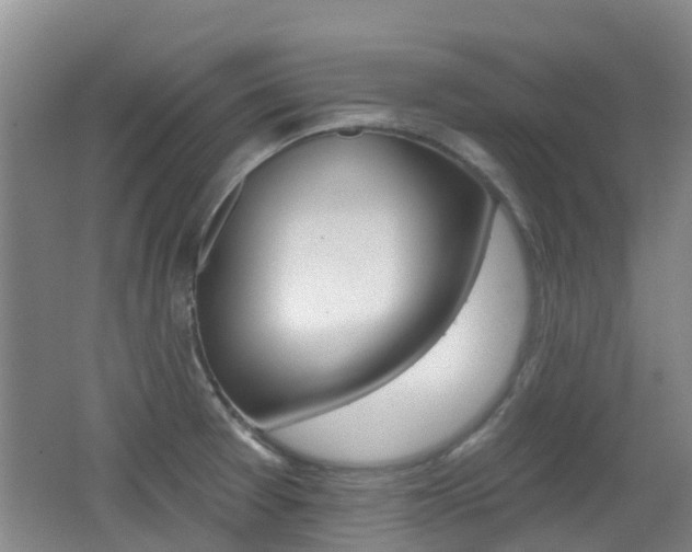 X0000062641377200512210956
