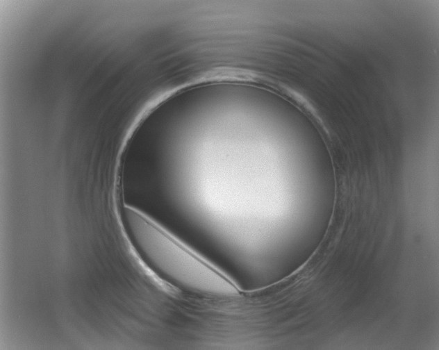 X0000062641379200512210956