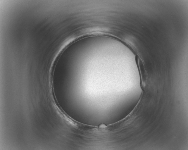 X0000062641384200512210956