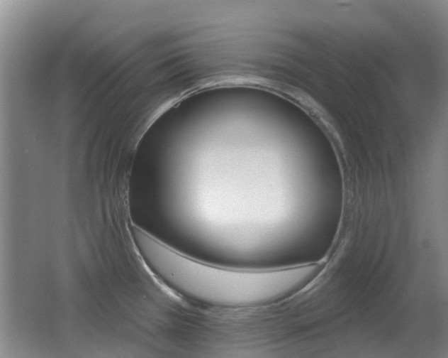 X0000062641385200512210956