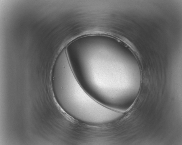X0000062641388200512210956