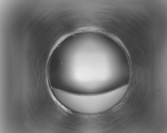 X0000062641389200512210956