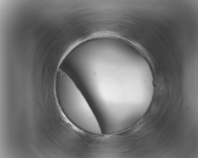 X0000062641390200512210956
