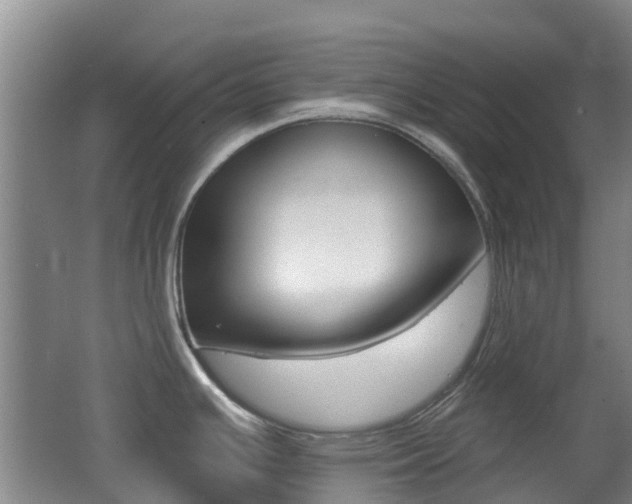 X0000062641391200512210956