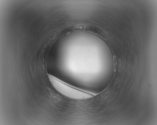 X0000062641394200512210955
