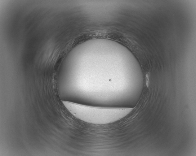 X0000062641395200512210955