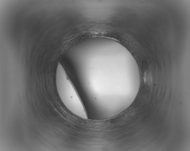 X0000062641396200512210955