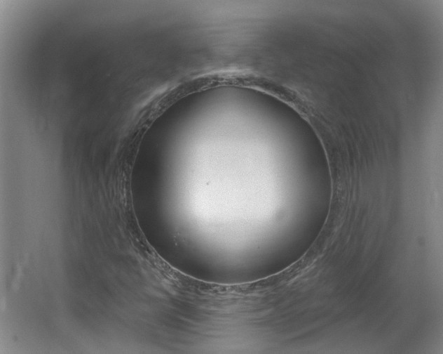 X0000062641398200512210955
