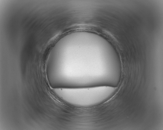 X0000062641403200512210955