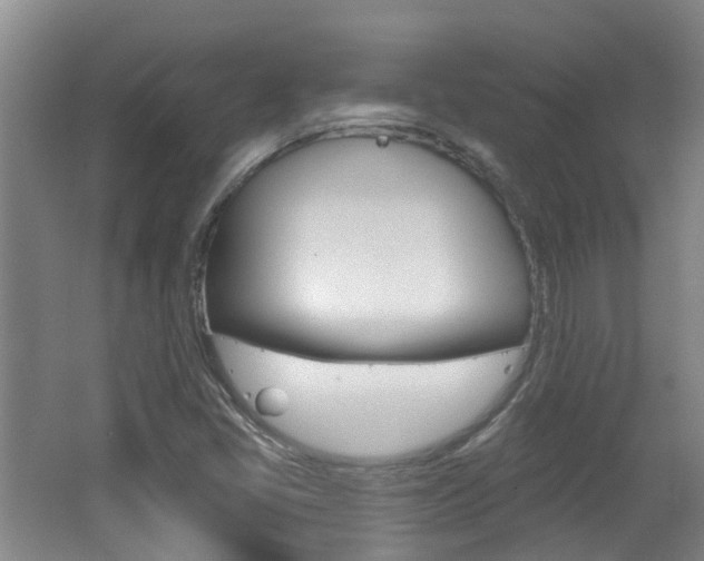 X0000062641405200512210955