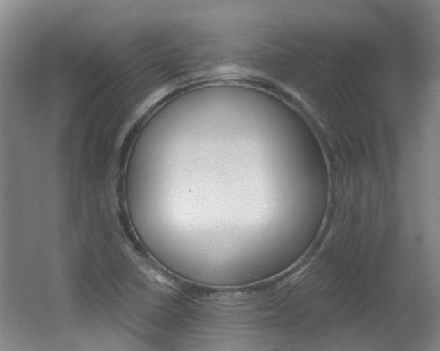 X0000062641410200512210955
