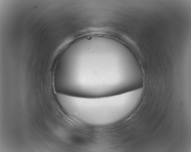 X0000062641411200512210955