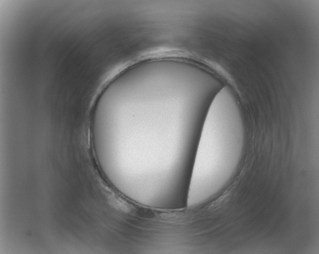 X0000062641413200512210955
