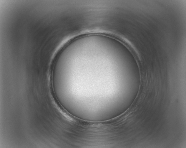 X0000062641416200512210955