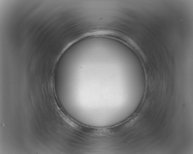 X0000062641417200512210955