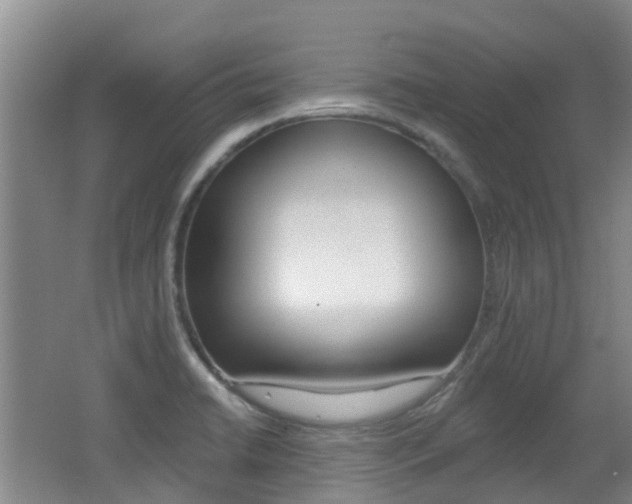 X0000062641422200512210955