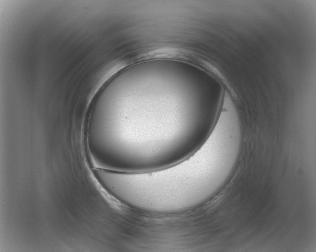 X0000062641426200512210955