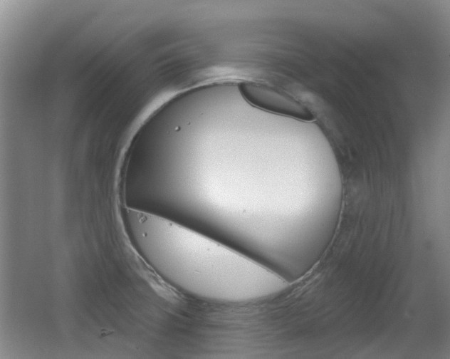 X0000062641427200512210955