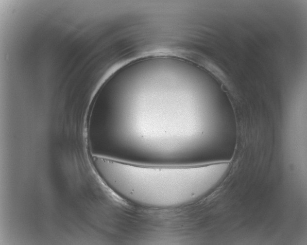 X0000062641428200512210955