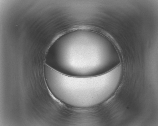 X0000062641433200512210955
