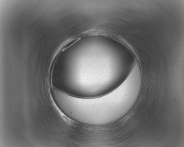 X0000062641434200512210955