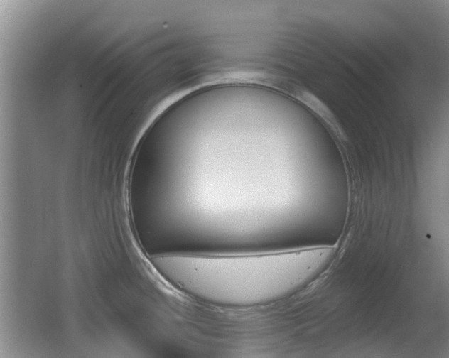 X0000062641436200512210955