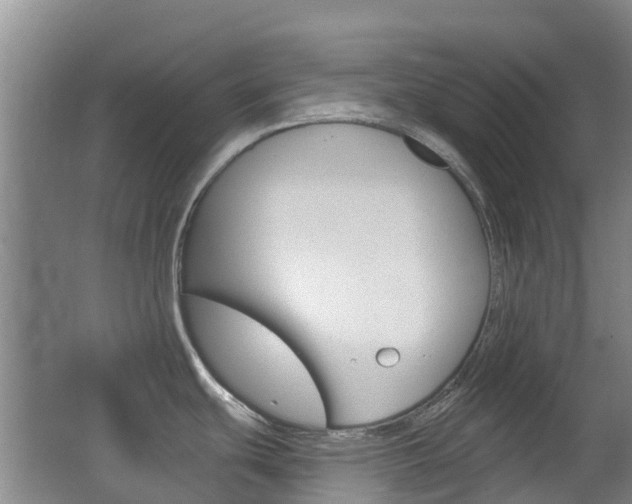 X0000062641439200512210955