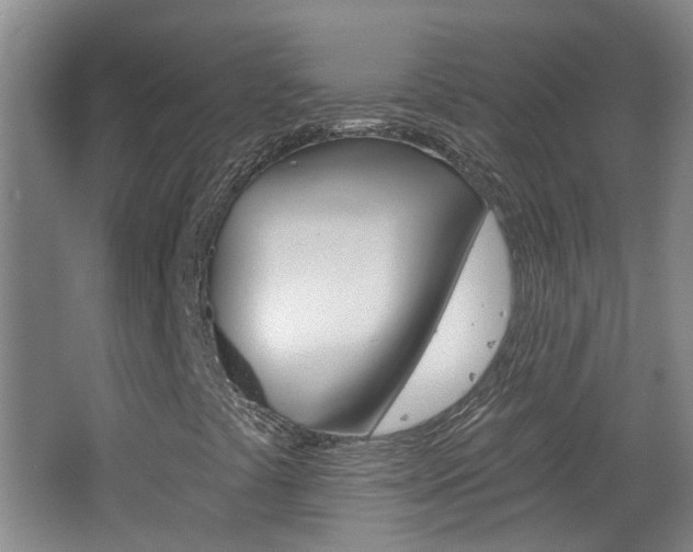 X0000062641441200512210955