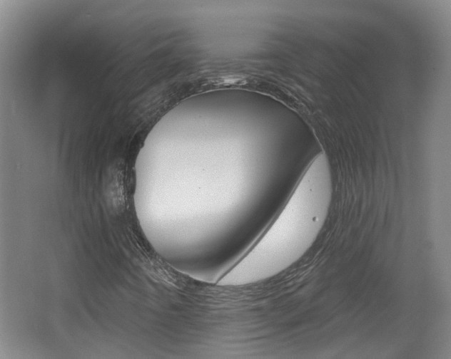 X0000062641442200512210955