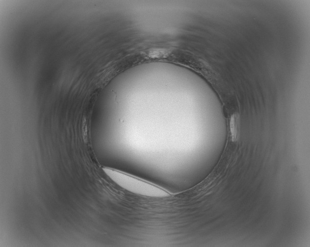 X0000062641443200512210955