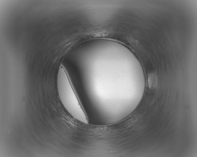 X0000062641444200512210955