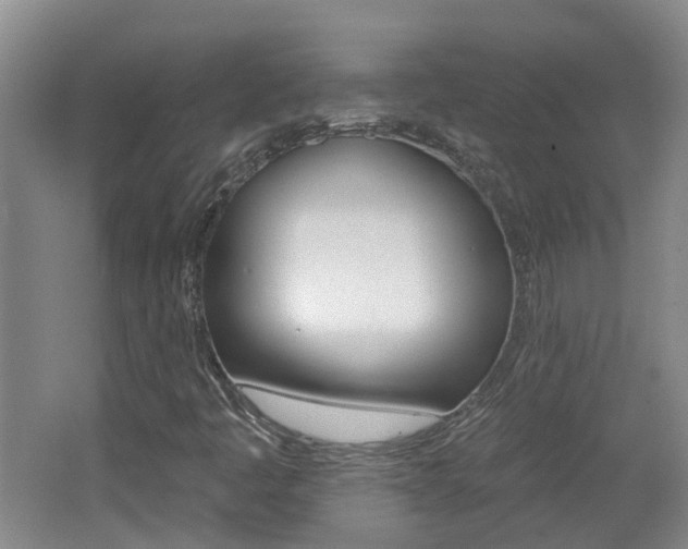 X0000062641445200512210955