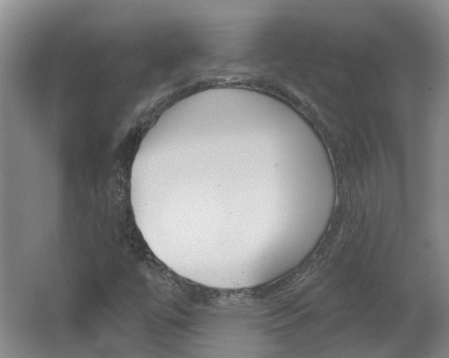 X0000062641447200512210955