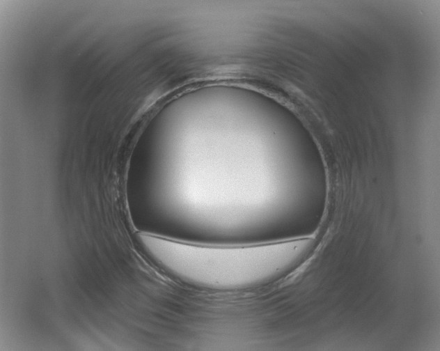 X0000062641449200512210955