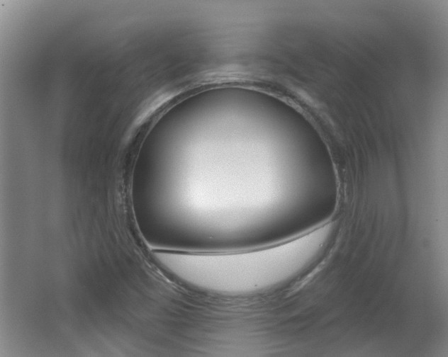X0000062641453200512210954