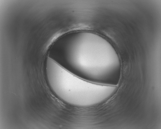 X0000062641455200512210954