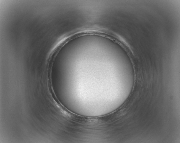 X0000062641456200512210954