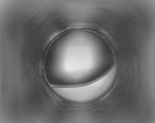 X0000062641457200512210954