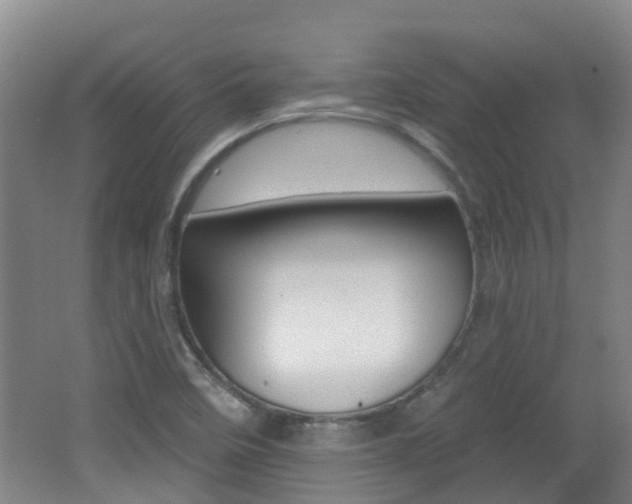 X0000062641458200512210954