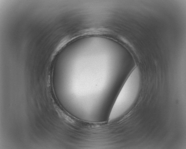 X0000062641459200512210954
