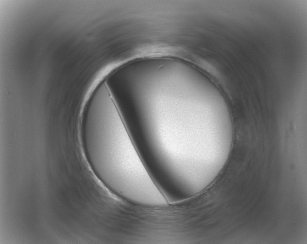X0000062641472200512210954
