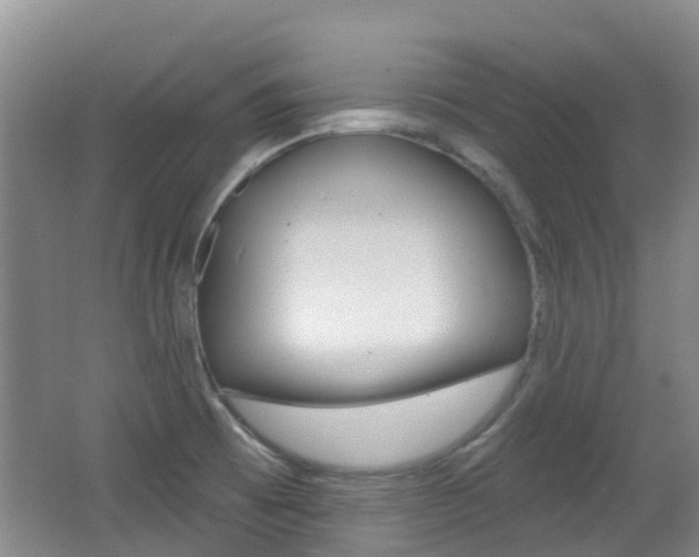 X0000062641473200512210954