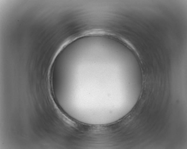 X0000062641475200512210954