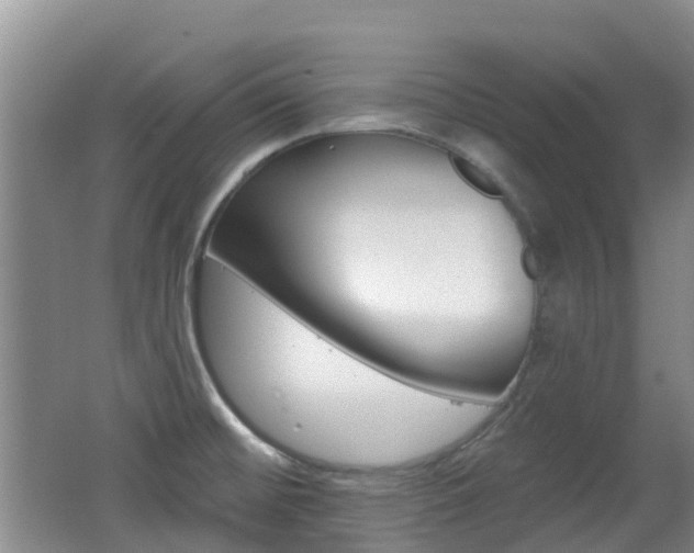 X0000062641476200512210954