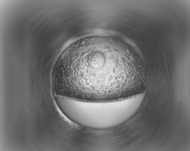 X0000062641479200512210954