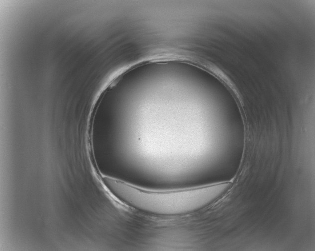 X0000062641485200512210954